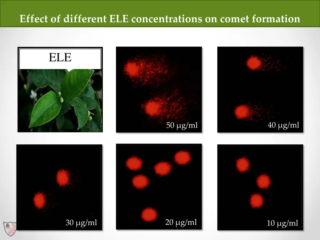 effect of different ele concentrations on comet