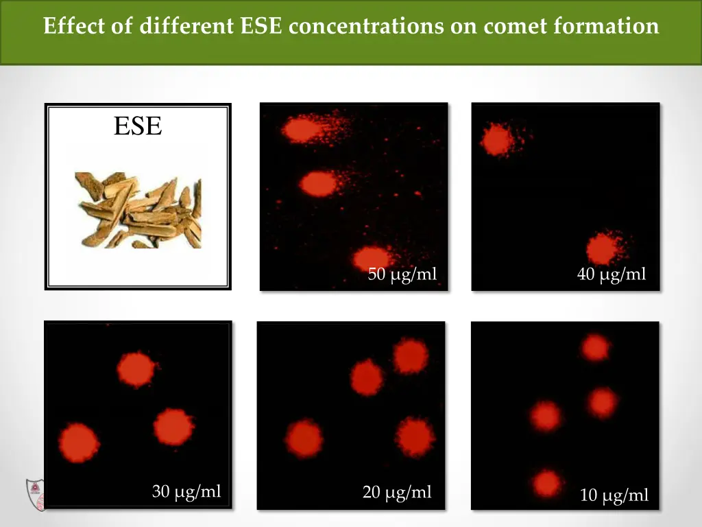 effect of different ese concentrations on comet