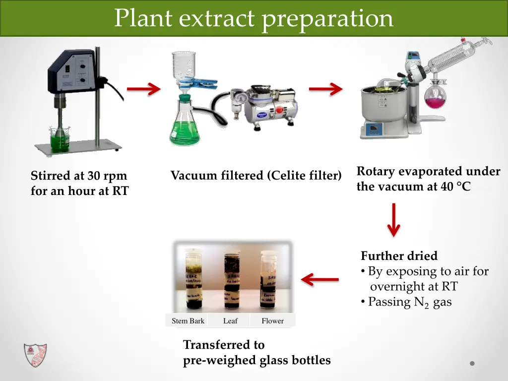 plant extract preparation 1