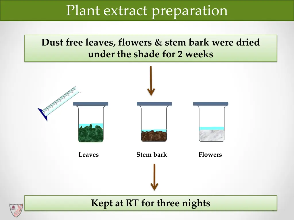 plant extract preparation