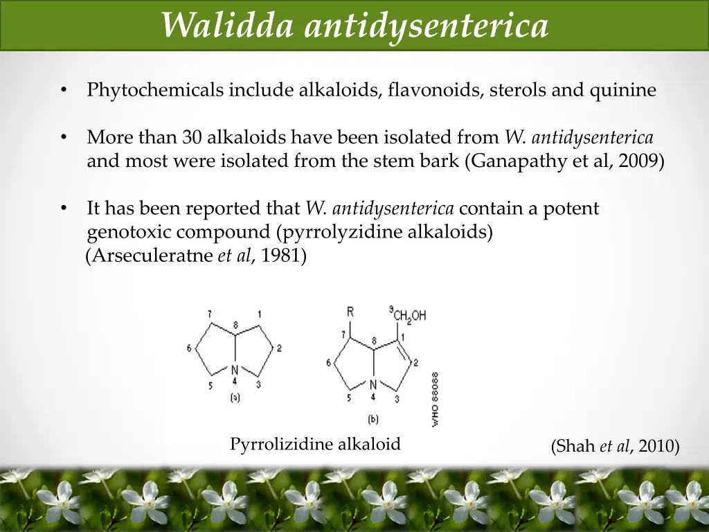 walidda antidysenterica 2