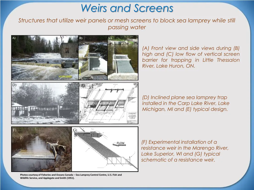 weirs and screens