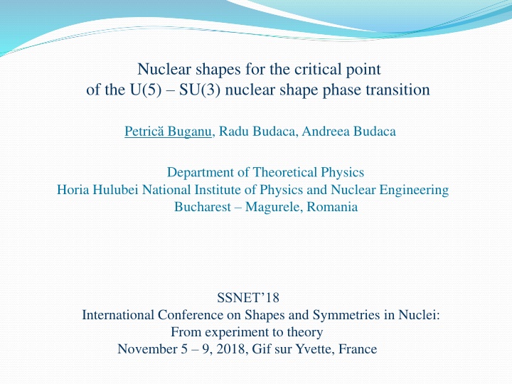 nuclear shapes for the critical point