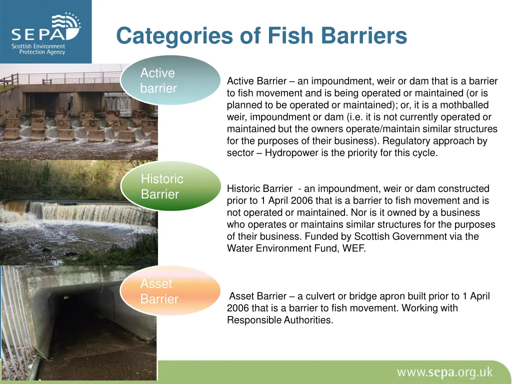 categories of fish barriers