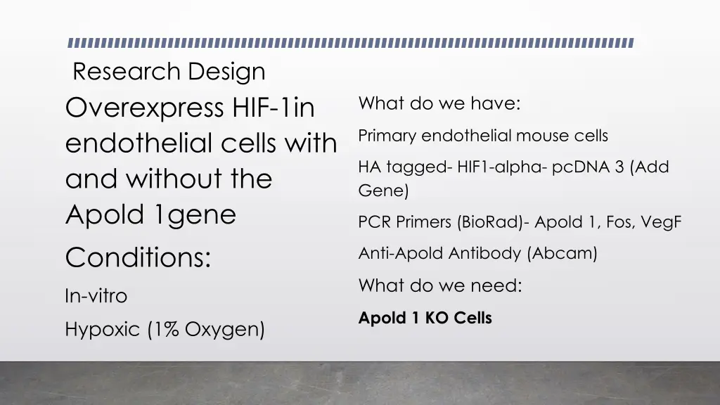 research design overexpress hif 1in endothelial