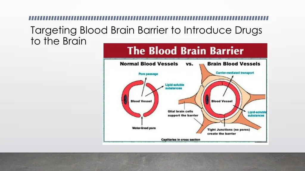 targeting blood brain barrier to introduce drugs