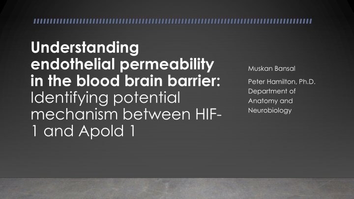 understanding endothelial permeability