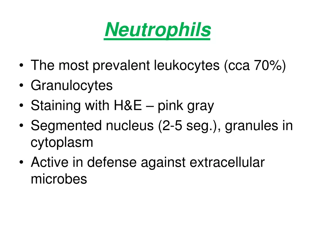 neutrophils