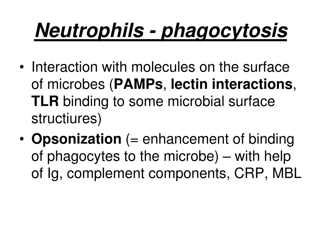 neutrophils phagocytosis