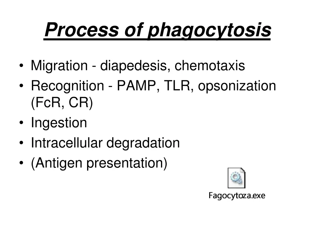 process of phagocytosis 1