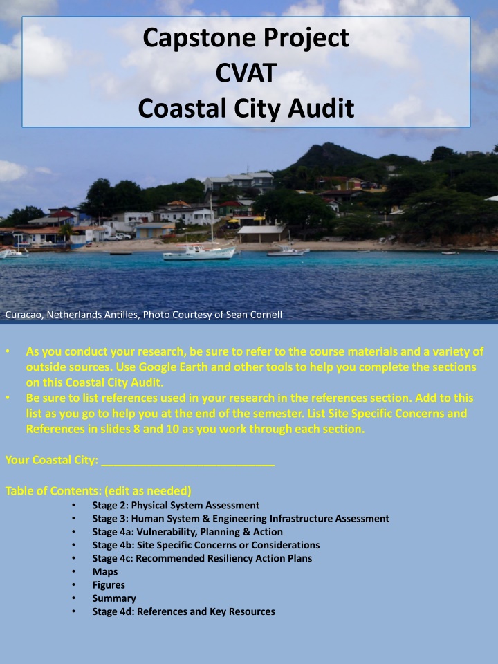 capstone project cvat coastal city audit