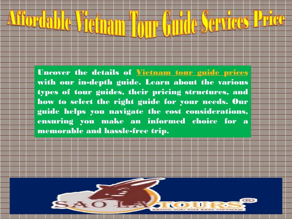 affordable vietnam tour guide services price 3