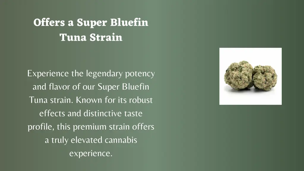 offers a super bluefin tuna strain