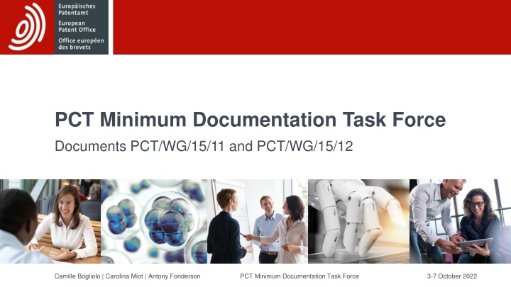 pct minimum documentation task force documents