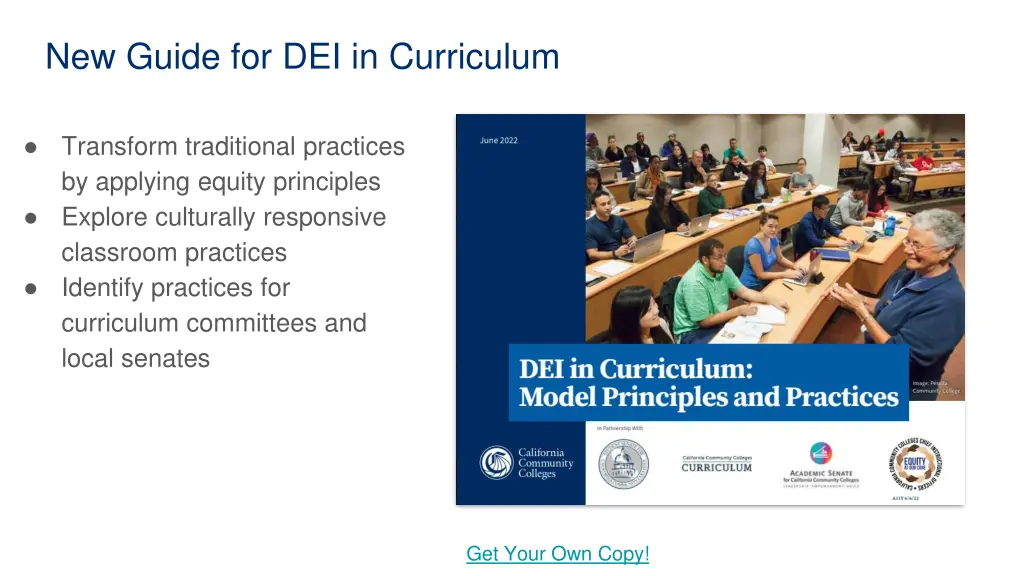 new guide for dei in curriculum