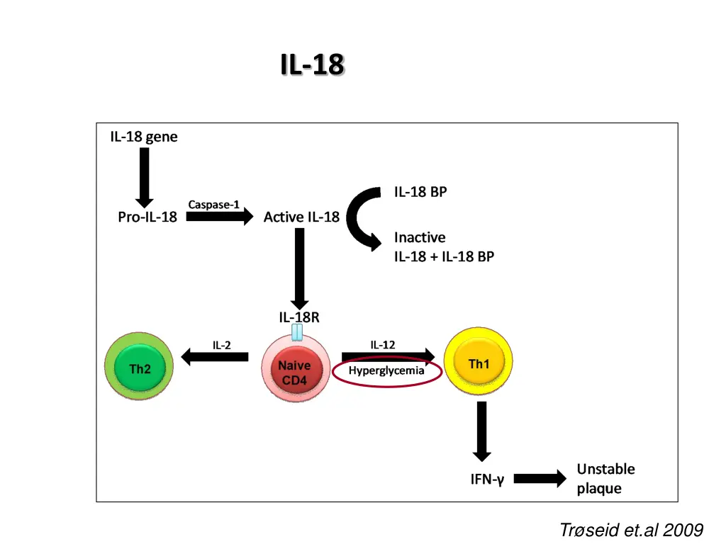 il 18 1