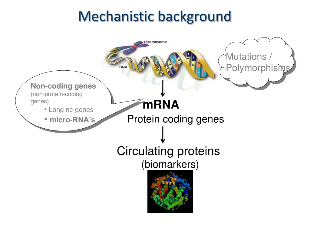 mechanistic background