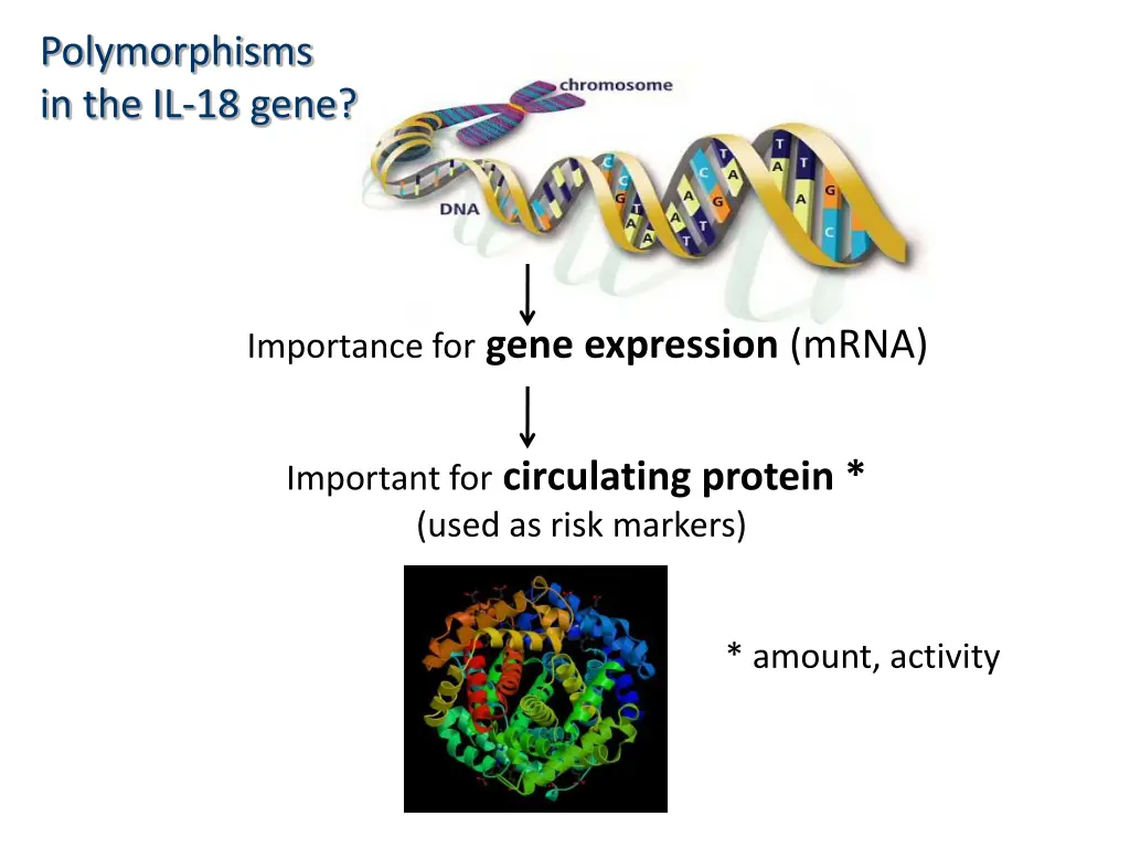 polymorphisms in the il 18 gene