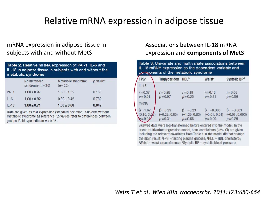 relative mrna expression in adipose tissue