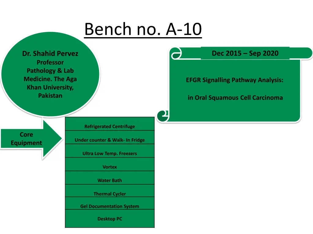 bench no a 10