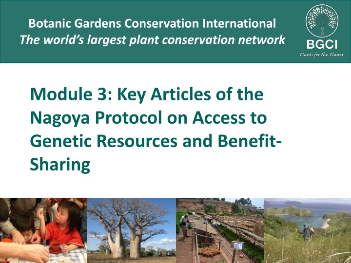 botanic gardens conservation international