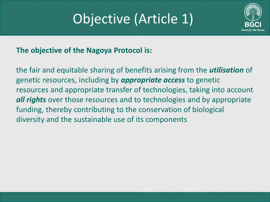 objective article 1