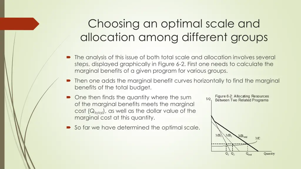 choosing an optimal scale and allocation among