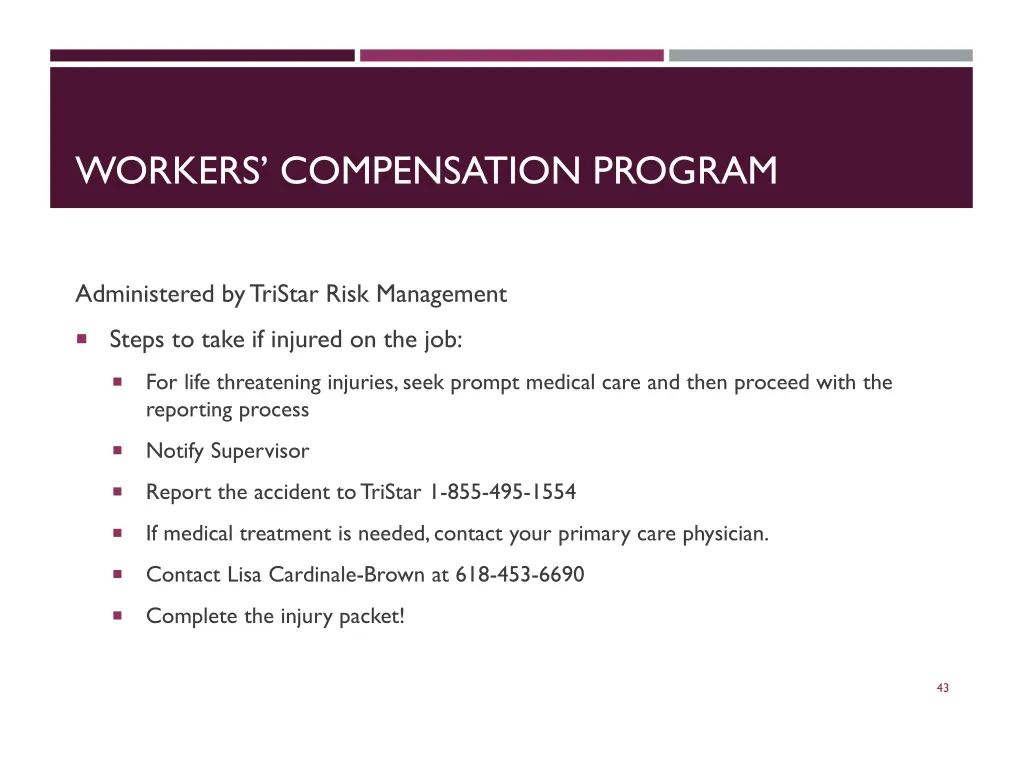 workers compensation program