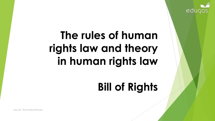 the rules of human rights law and theory in human