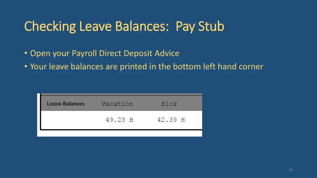 checking leave balances pay stub checking leave