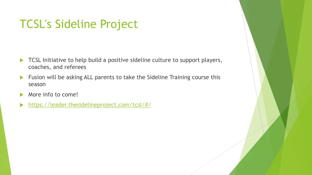 tcsl s sideline project