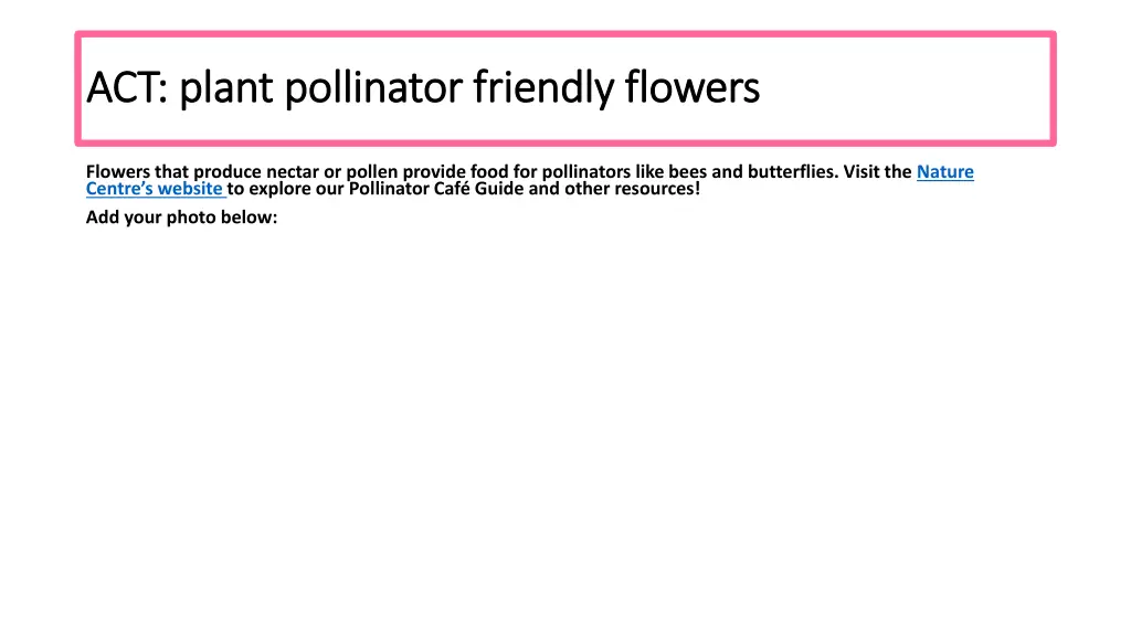 act plant pollinator friendly flowers act plant