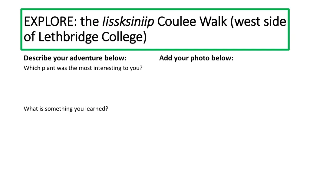 explore the explore the iissksiniip of lethbridge