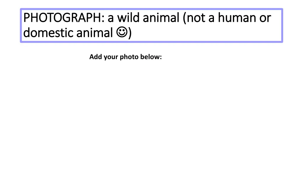 photograph a wild animal not a human