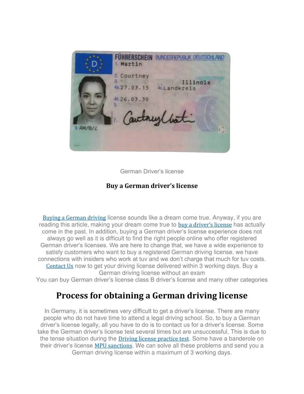 german driver s license