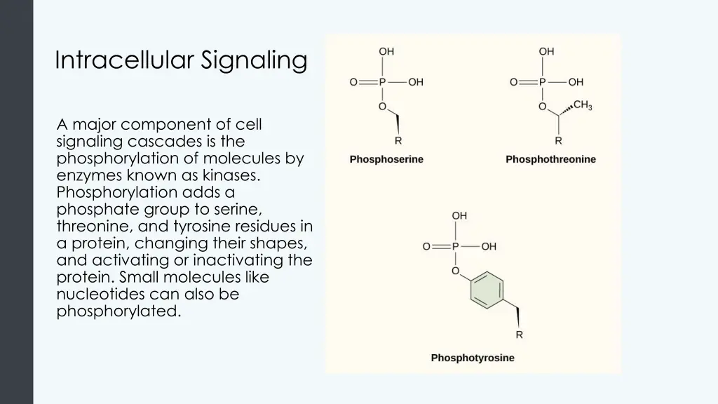 intracellular signaling