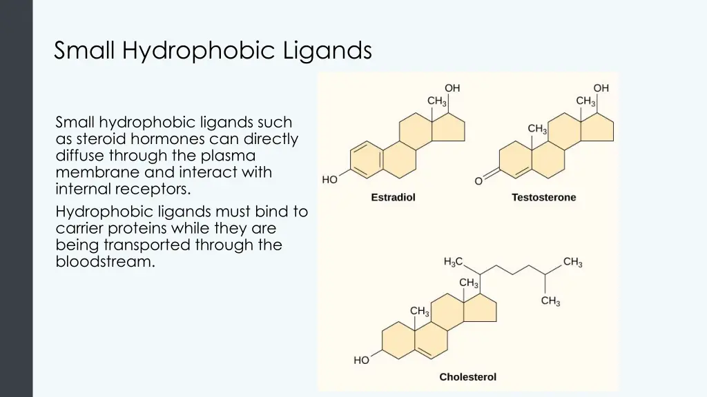 small hydrophobic ligands