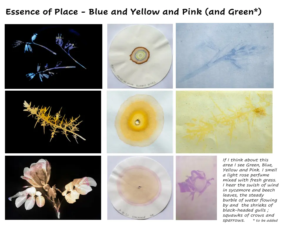 essence of place blue and yellow and pink