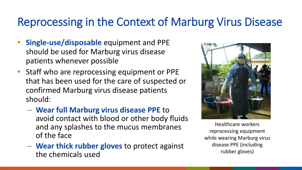 reprocessing in the context of marburg virus