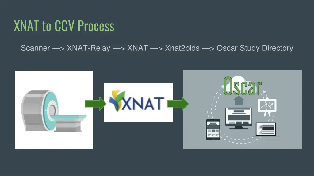 xnat to ccv process