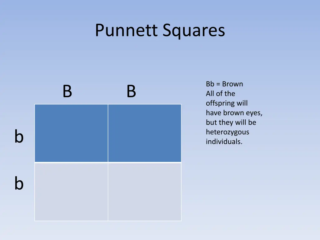 punnett squares 3