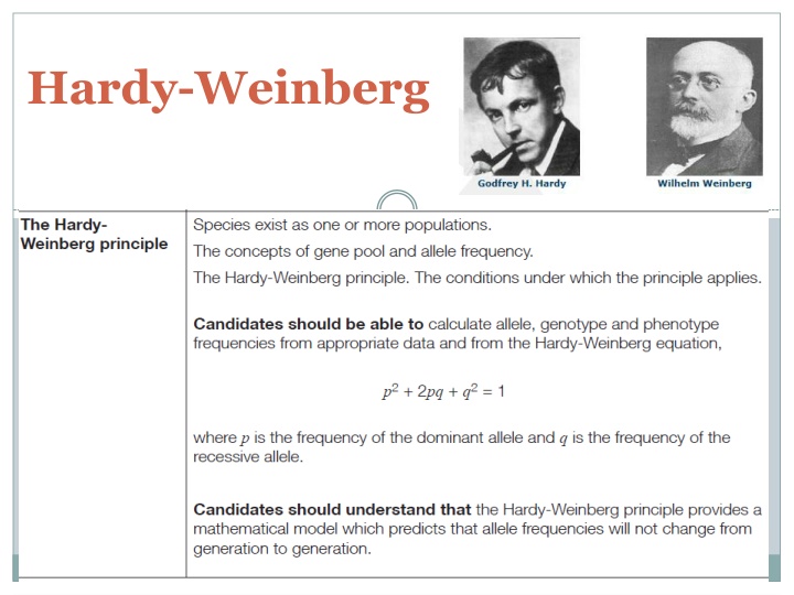 hardy weinberg