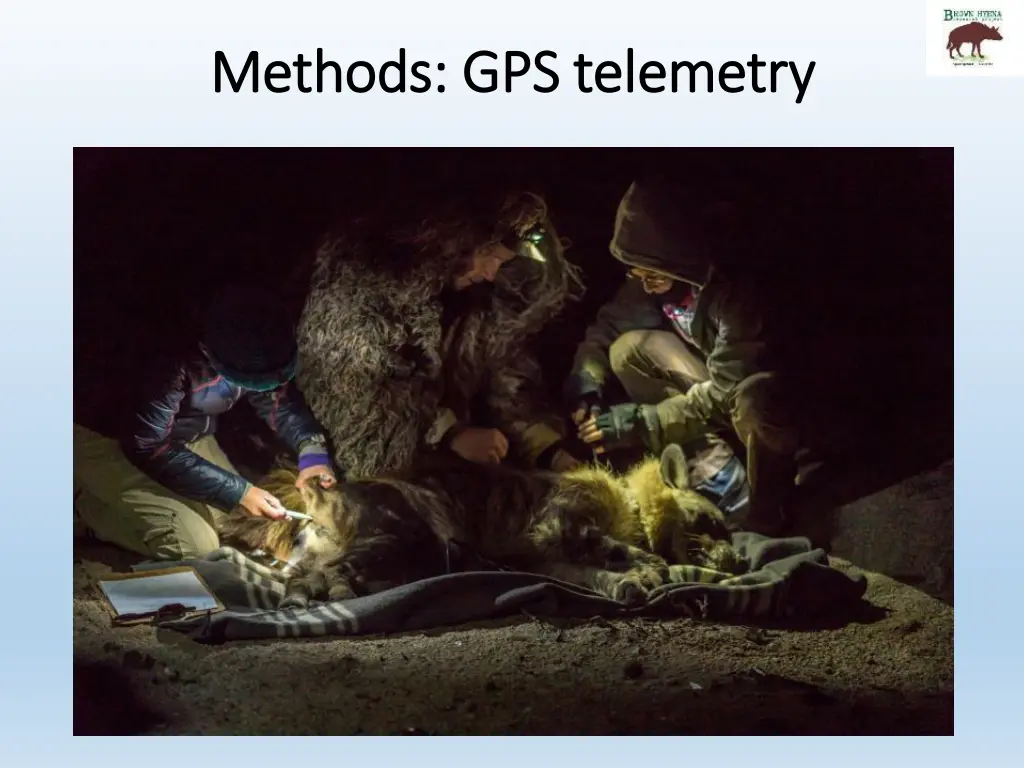 methods gps telemetry methods gps telemetry