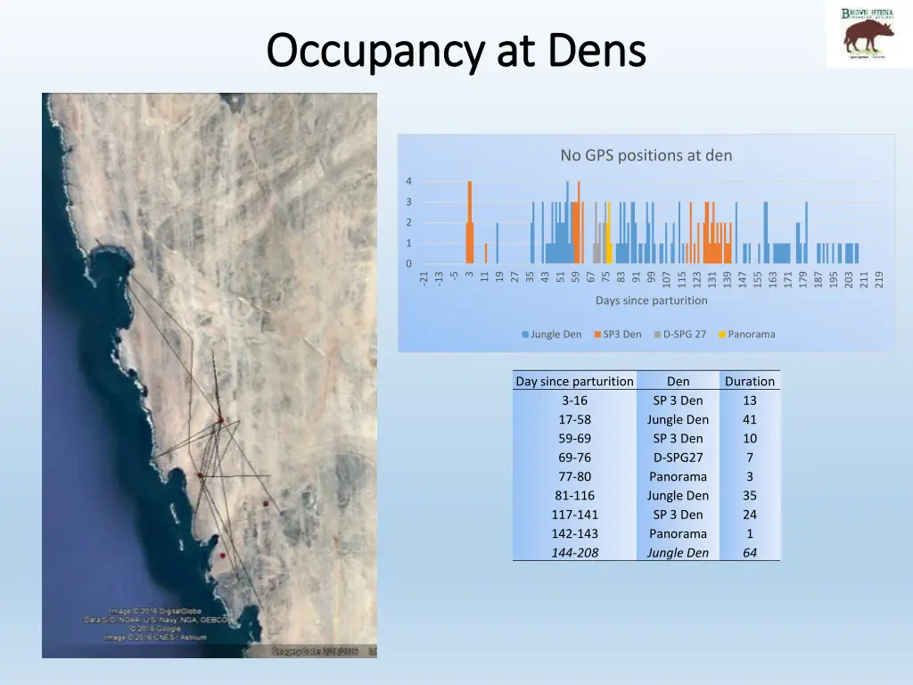 occupancy at dens occupancy at dens 1