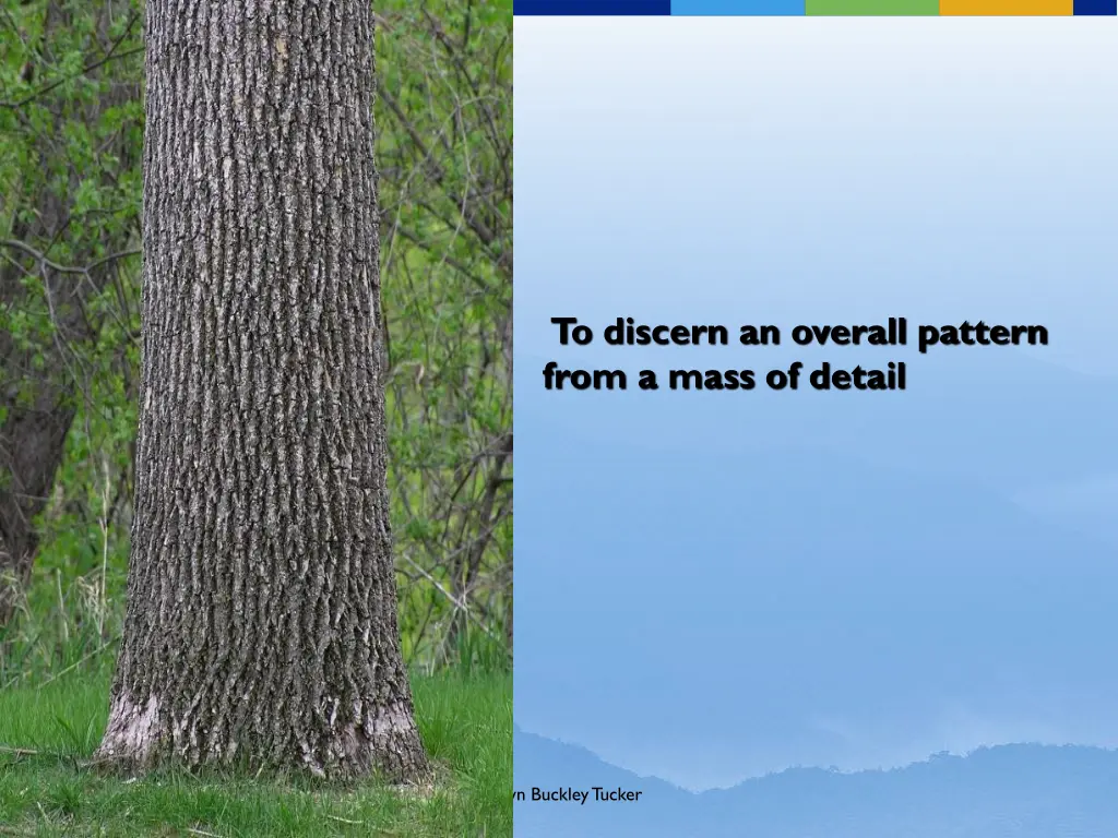 to discern an overall pattern from a mass