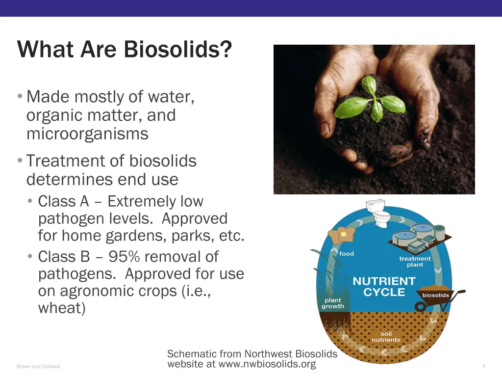 what are biosolids