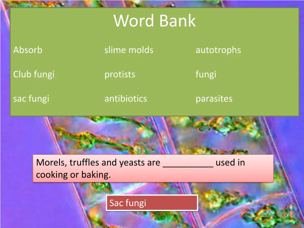 word bank 10