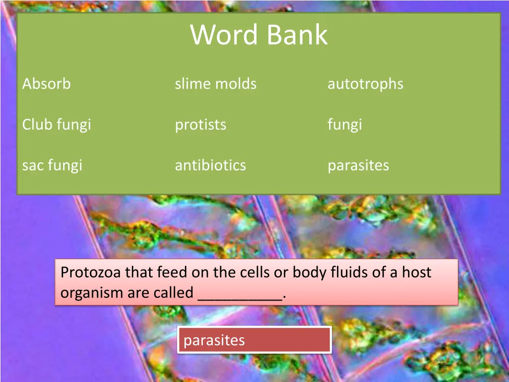 word bank 11