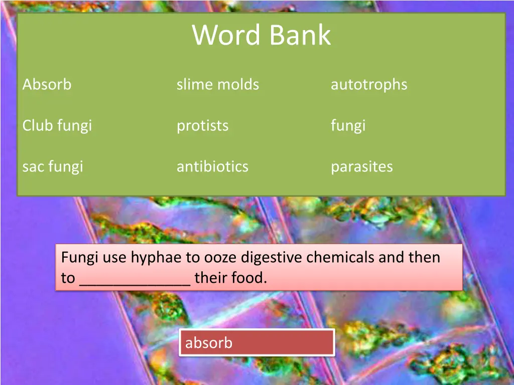 word bank 12