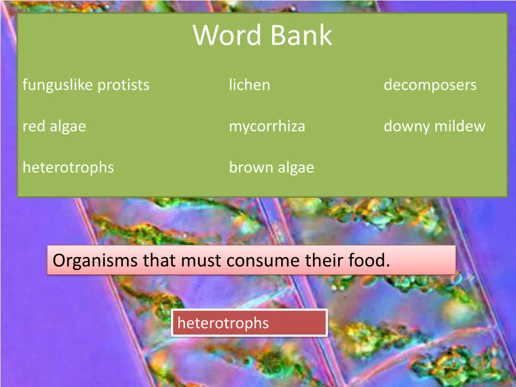 word bank 3